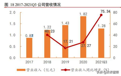 计算机行业深度解析 软件开发的当前格局与未来展望
